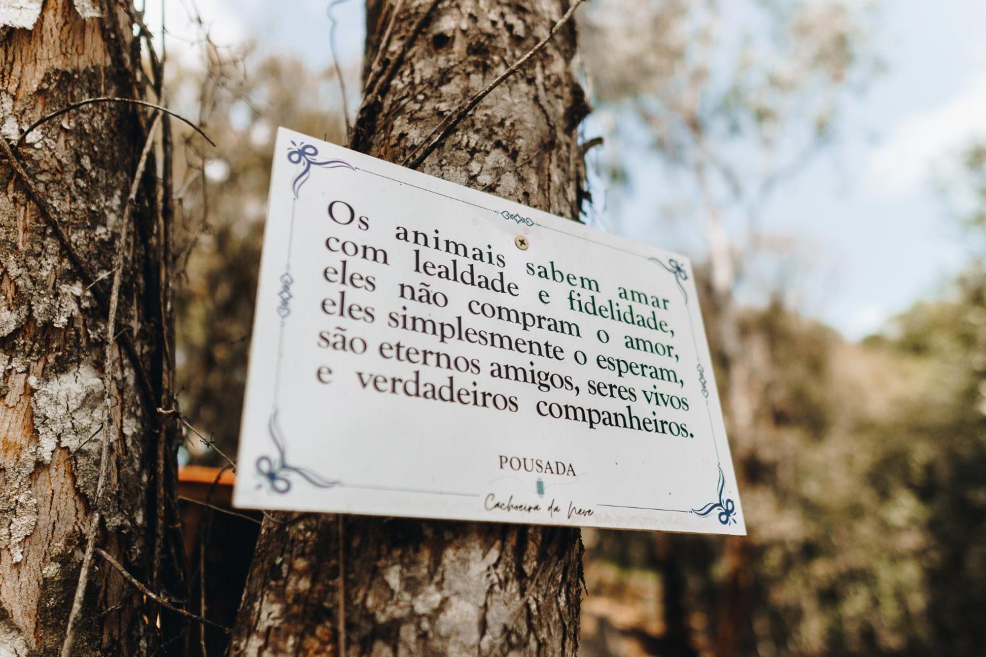 Chale Harmonia Da Floresta- Pousada Cachoeira Da Neve Urubici Exterior photo